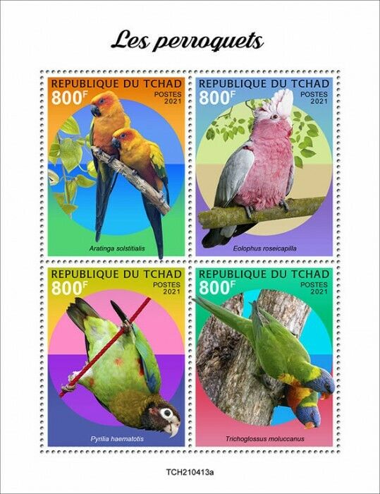 Chad 2021 MNH Birds Stamps Parrots Sun Conure Galah Rainbow Lorikeet 4v M/S
