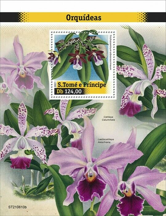 Sao Tome & Principe 2021 MNH Flowers Stamps Orchids Trichocentrum Orchid 1v S/S