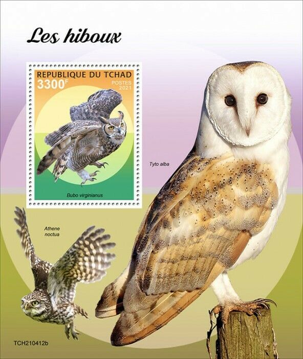 Chad 2021 MNH Birds of Prey on Stamps Owls Barn Great Horned Owl 1v S/S