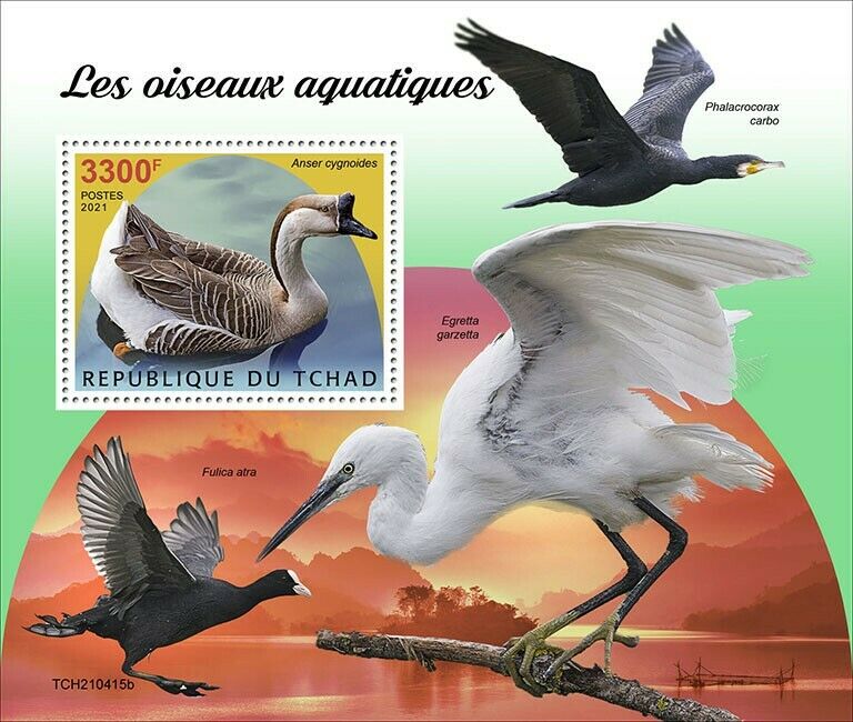Chad 2021 MNH Water Birds Stamps Swan Goose Geese Egrets Cormorants 1v S/S