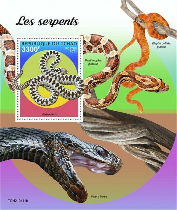 Chad 2021 MNH Snakes Stamps European Adder Viper Corn Snake 1v S/S