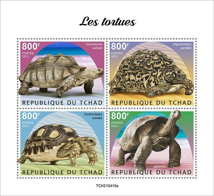Chad 2021 MNH Turtles Stamps Tortoises Aldabra Giant Tortoise Reptiles 4v M/S