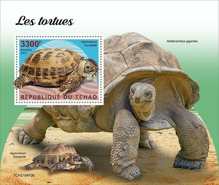 Chad 2021 MNH Turtles Stamps Tortoises Russian Tortoise Reptiles 1v S/S