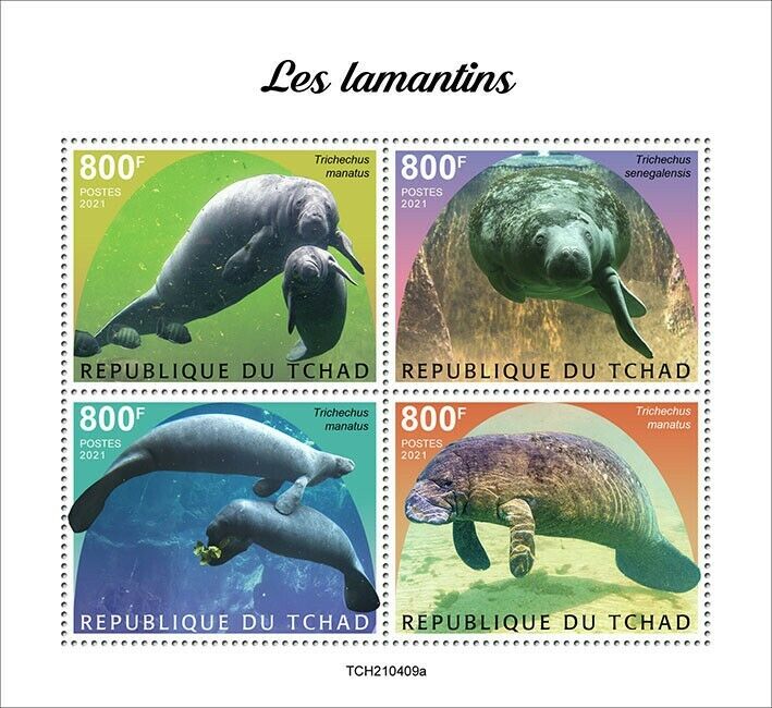 Chad 2021 MNH Marine Animals Stamps Manatees West Indian Manatee 4v M/S