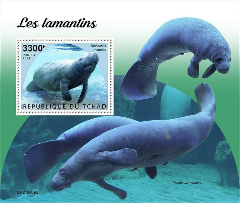 Chad 2021 MNH Marine Animals Stamps Manatees West Indian Manatee 1v S/S