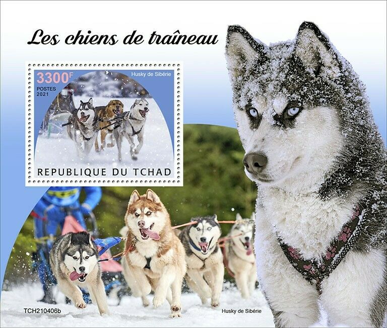 Chad 2021 MNH Sled Dogs Stamps Siberian Husky Huskies Working Dogs 1v S/S