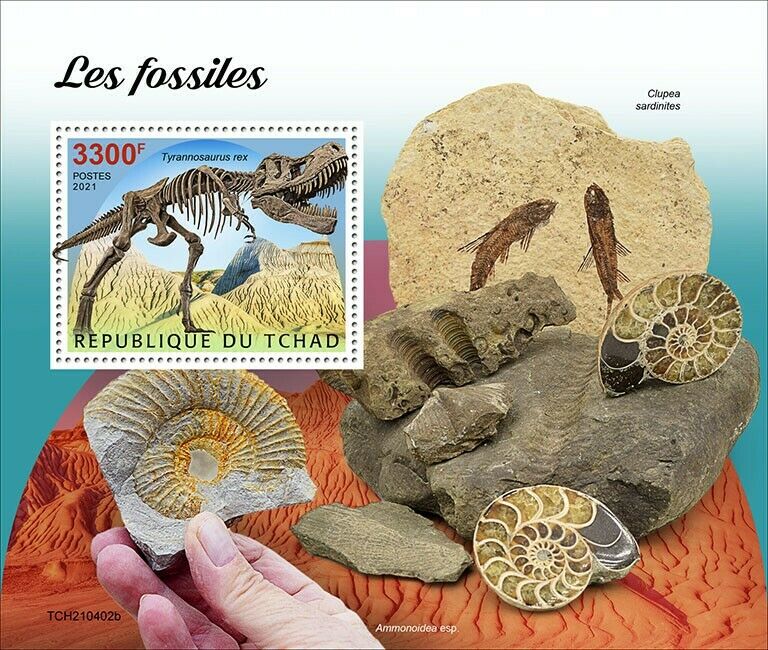 Chad 2021 MNH Prehistoric Animals Stamps Fossils Archaeology Dinosaurs 1v S/S