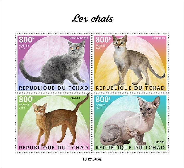 Chad 2021 MNH Cats Stamps British Shorthair Singapura Spynx Abyssinian Cat 4v M/S