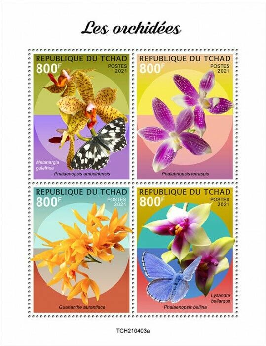 Chad 2021 MNH Flowers Stamps Orchids Phalaenopsis Orchid Butterflies 4v M/S