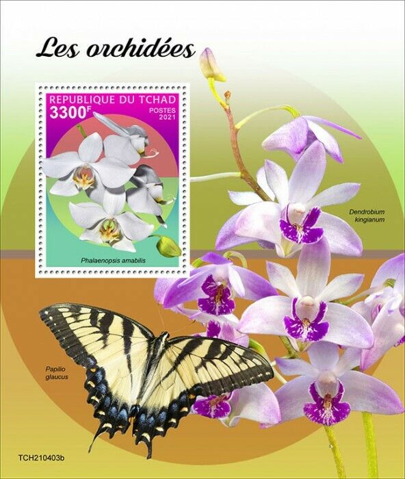 Chad 2021 MNH Flowers Stamps Orchids Phalaenopsis Orchid Butterflies 1v S/S
