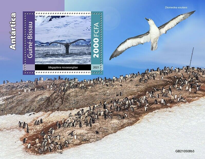 Guinea-Bissau 2021 MNH Antarctica Stamps Humpback Whales Landscapes 1v S/S III