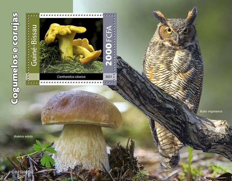 Guinea-Bissau 2021 MNH Mushrooms Stamps Owls Fungi Horned Owl Nature 1v S/S II