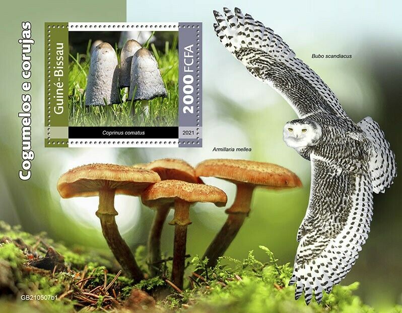 Guinea-Bissau 2021 MNH Mushrooms Stamps Owls Fungi Snowy Owl Nature 1v S/S I