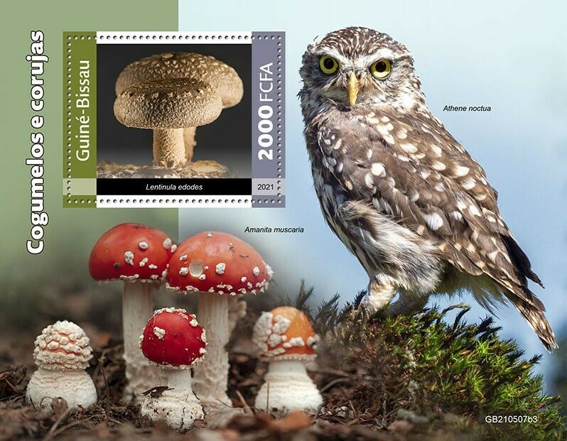 Guinea-Bissau 2021 MNH Mushrooms Stamps Owls Fungi Little Owl Nature 1v S/S III