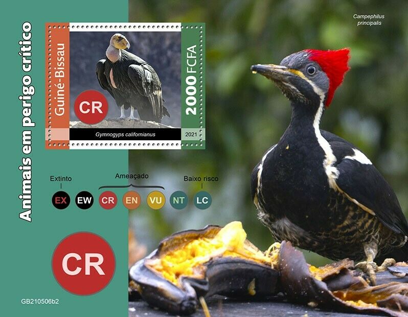 Guinea-Bissau 2021 MNH Birds on Stamps Endangered Species Condors 1v S/S II