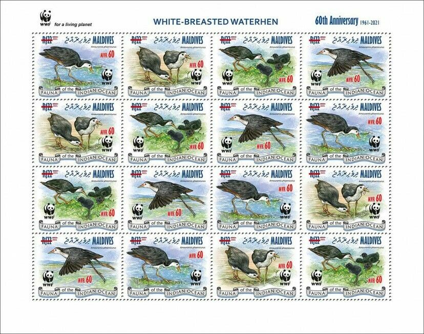 Maldives 2021 MNH WWF Stamps White-Breasted Waterhen Red OPVT Birds 16v M/S