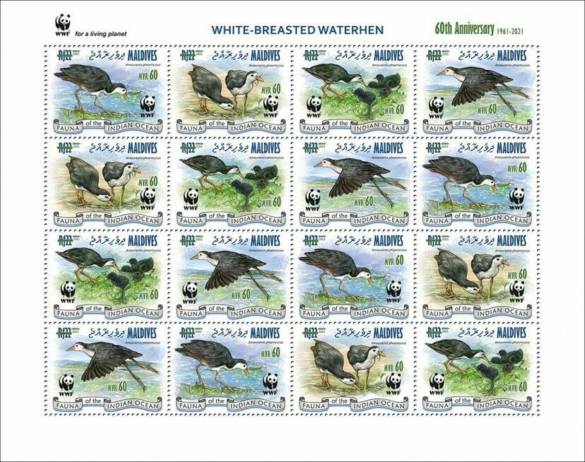 Maldives 2021 MNH WWF Stamps White-Breasted Waterhen Green OPVT Birds 16v M/S