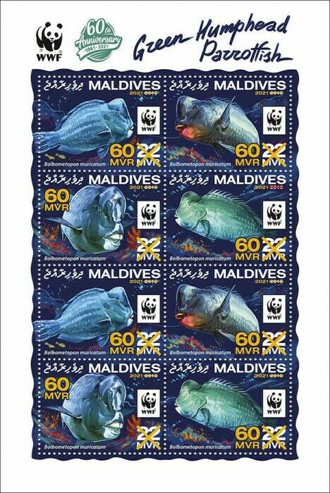 Maldives 2021 MNH WWF Stamps Green Humphead Parrotfish Yellow OVPT Fish 8v M/S