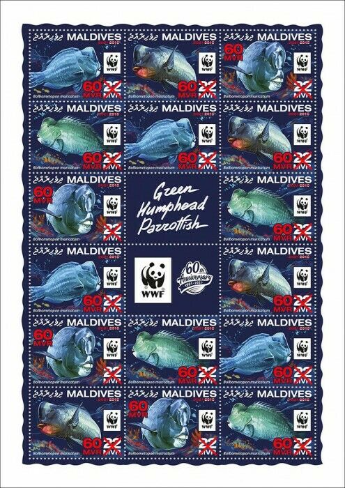 Maldives 2021 MNH WWF Stamps Green Humphead Parrotfish Red OVPT Fish 16v M/S