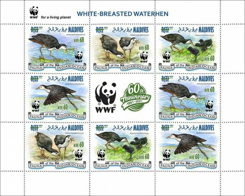 Maldives 2021 MNH WWF Stamps White-Breasted Waterhen Green OPVT Birds 8v M/S