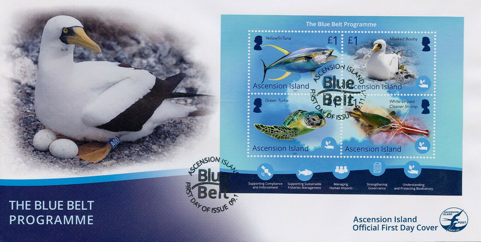 Ascension Island 2021 FDC Marine Animals Stamps Blue Belt Programme Birds 4v M/S