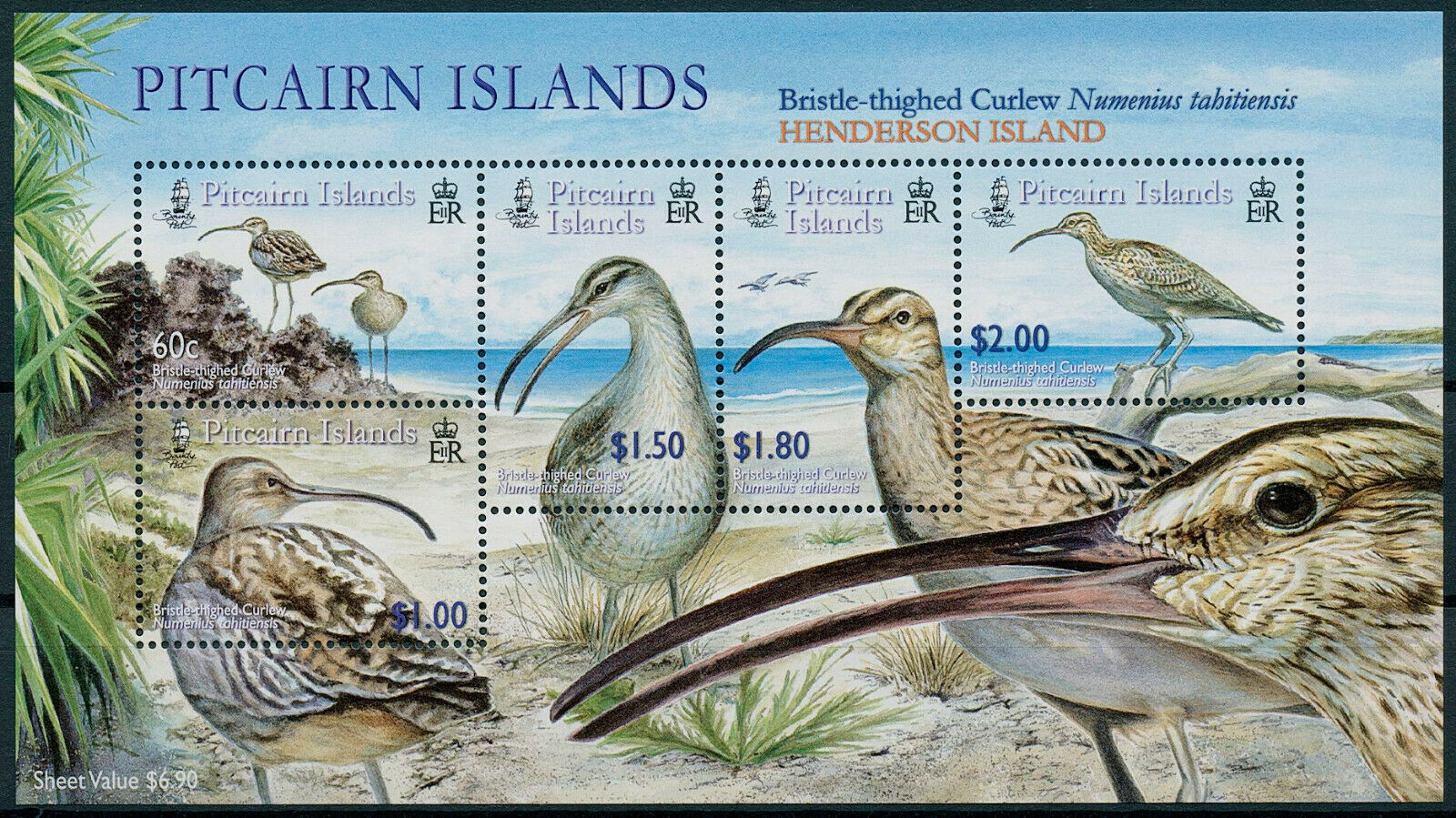 Pitcairn Islands 2005 MNH Birds on Stamps Bristle-thighed Curlews Curlew 5v M/S