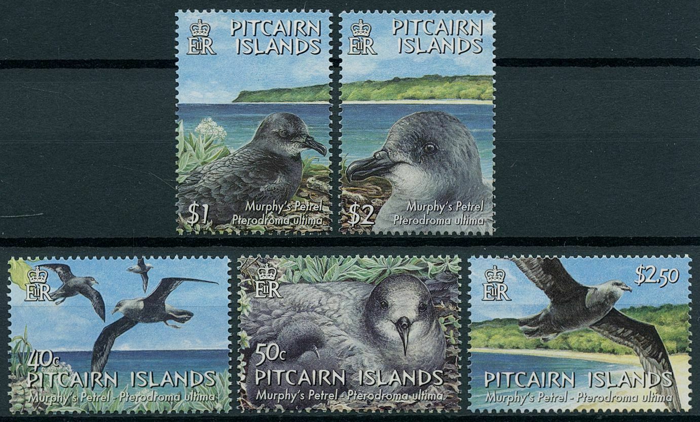 Pitcairn Islands 2004 MNH Birds on Stamps Murphy's Petrel Petrels 5v Set