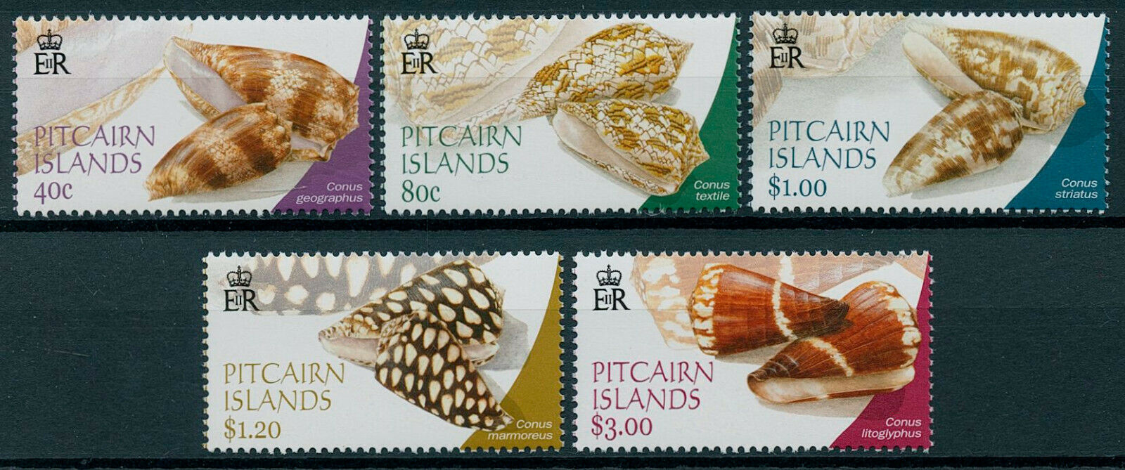Pitcairn Islands 2003 MNH Seashells Stamps Conus Shells Marine 5v Set
