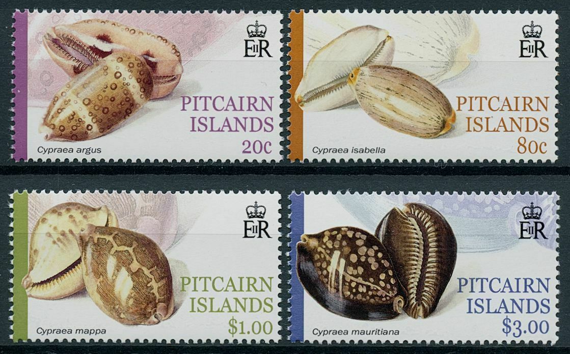 Pitcairn Islands 2001 MNH Seashells Stamps Cowrie Shells Cypraea 4v Set