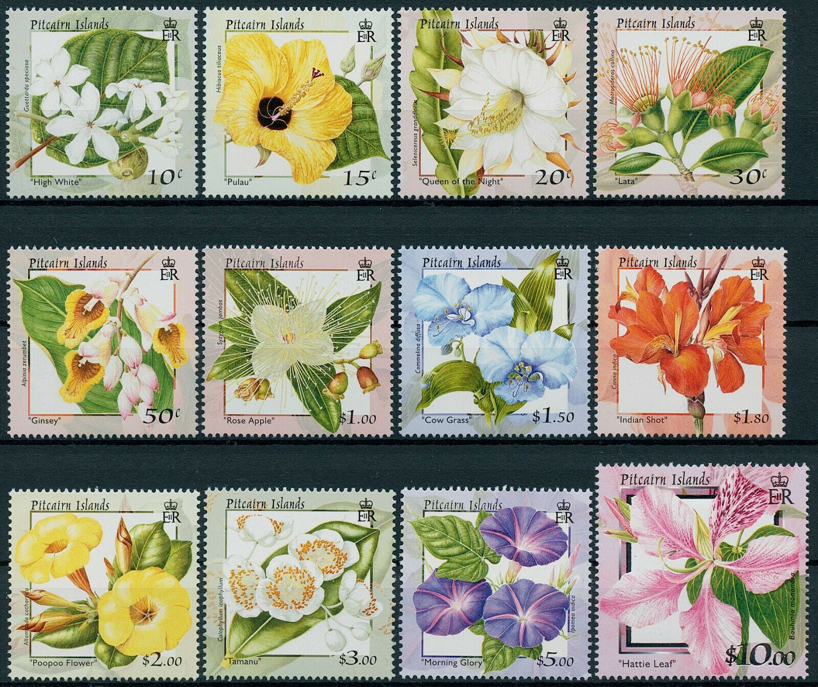 Pitcairn Islands 2000 MNH Flowers Stamps Hattie Leaf Lata Flora Nature 12v Set