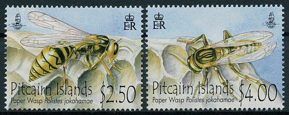 Pitcairn Islands 2011 MNH Insects Stamps Paper Wasp Wasps 2v Set