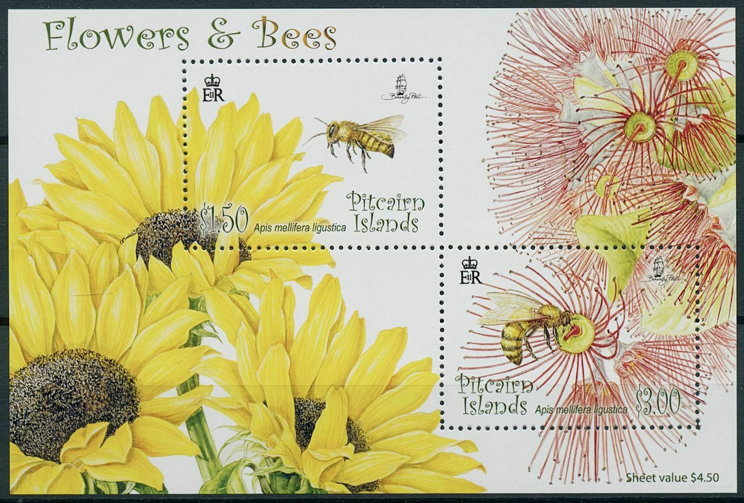 Pitcairn Islands 2008 MNH Flowers & Bees Stamps Honey Bee Flora Insects 2v M/S