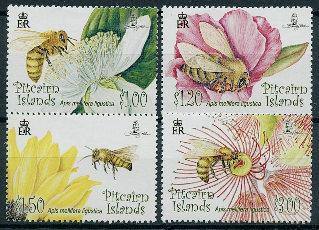 Pitcairn Islands 2008 MNH Flowers & Bees Stamps Honey Bee Flora Insects 4v Set