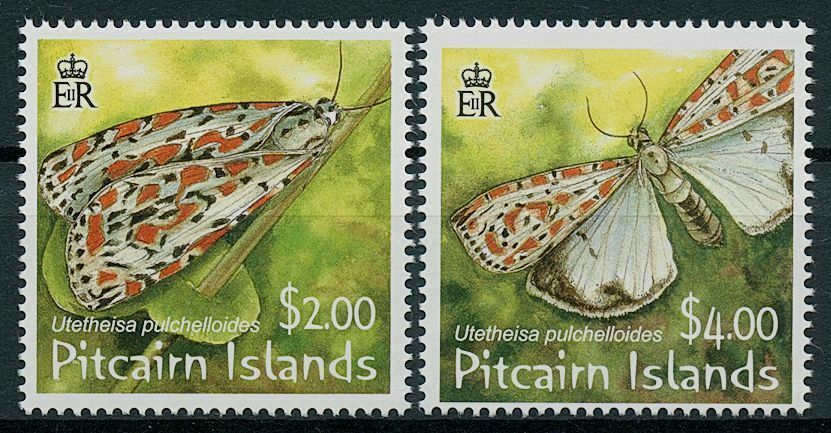 Pitcairn Islands 2007 MNH Butterflies Stamps Salt & Pepper Moth Moths 2v Set