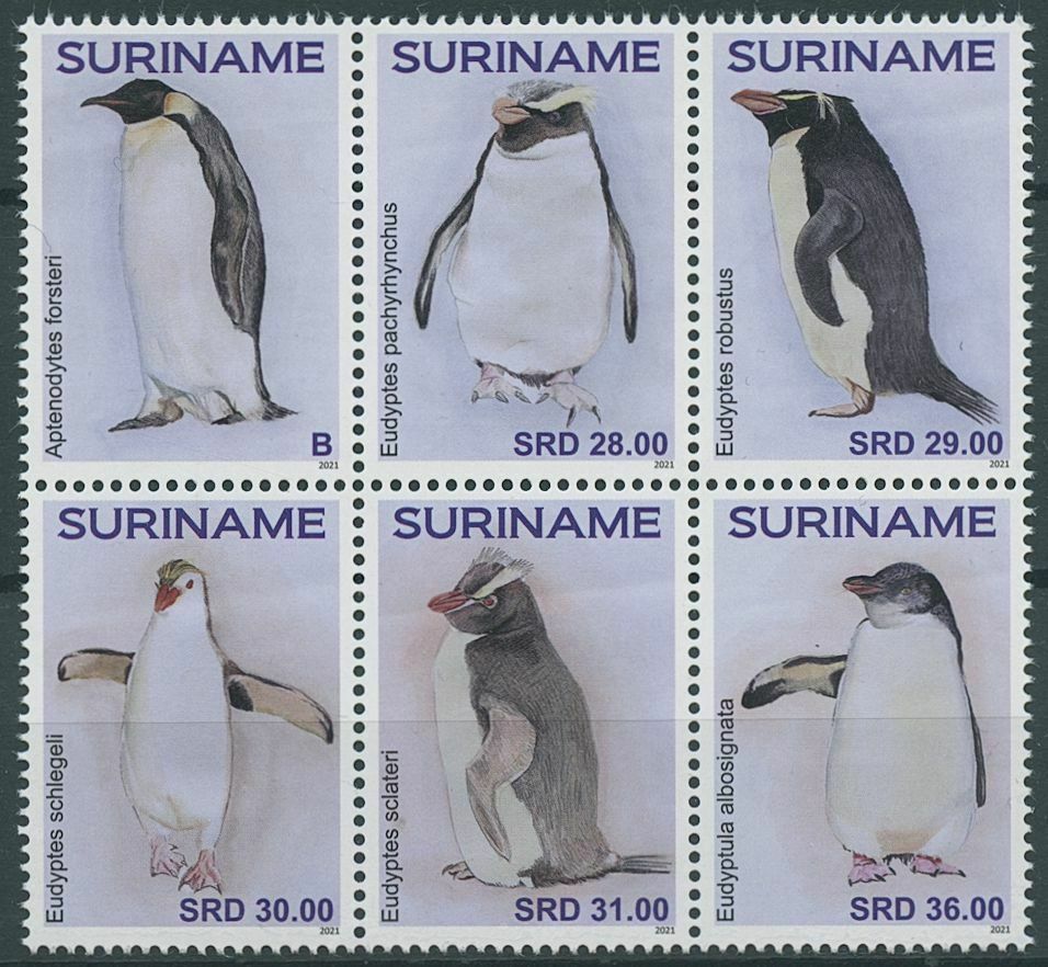 Suriname 2021 MNH Birds on Stamps Penguins Snares Penguin 6v Block