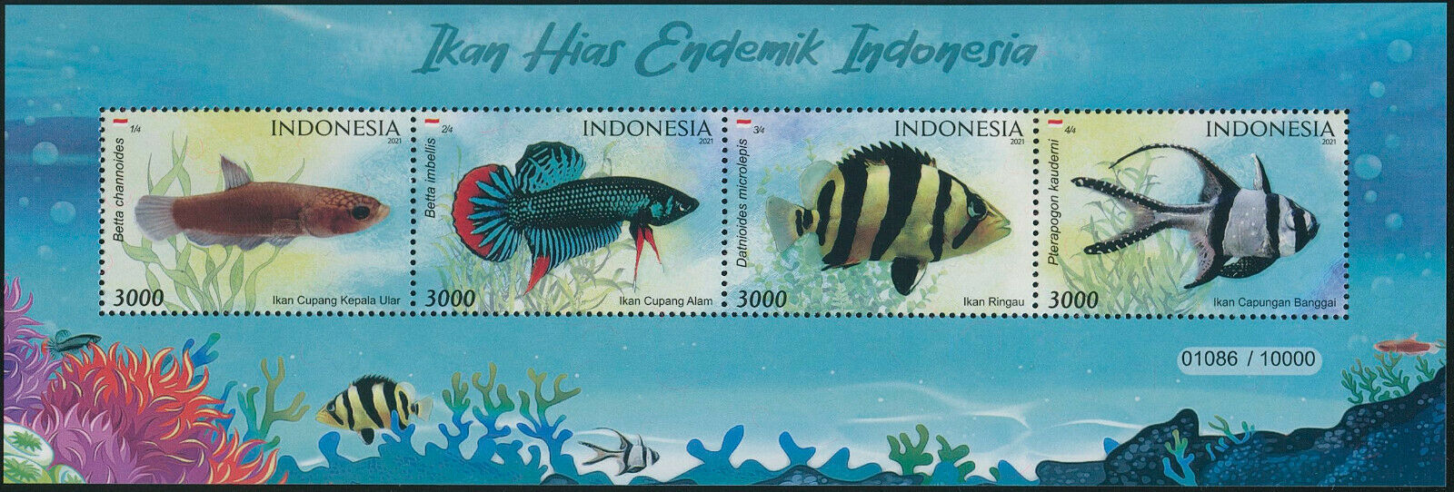 Indonesia 2021 MNH Fish Stamps Endemic Decorative Fishes Betta 4v M/S