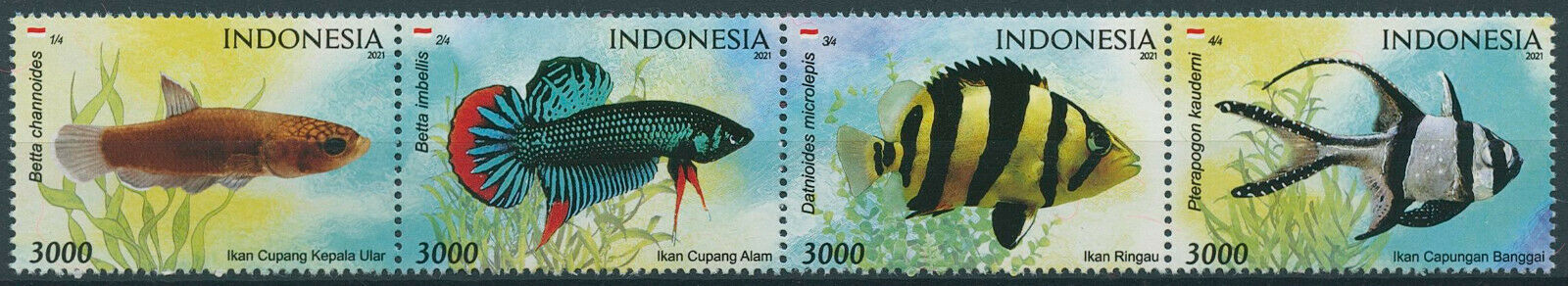 Indonesia 2021 MNH Fish Stamps Endemic Decorative Fishes Betta 4v Strip