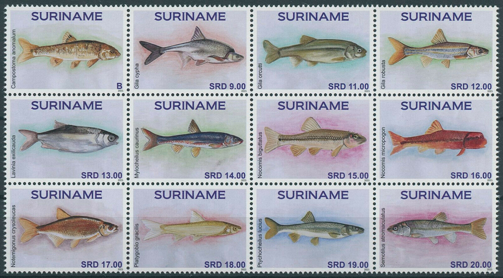 Suriname 2021 MNH Fish Stamps Fishes 12v Block