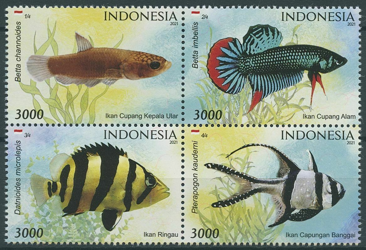 Indonesia 2021 MNH Fish Stamps Endemic Decorative Fishes Betta 4v Block