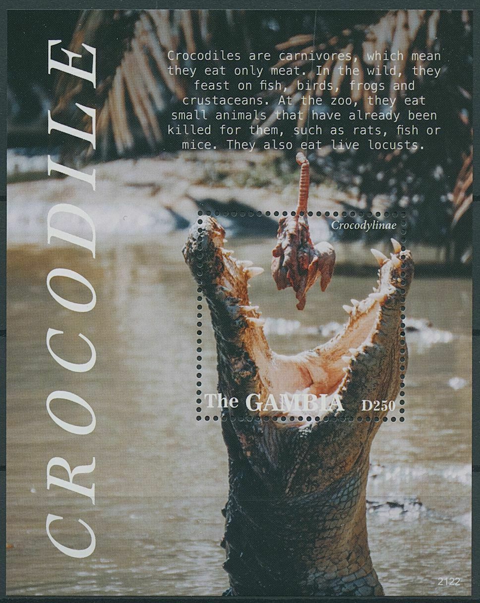Gambia 2021 MNH Reptiles Stamps Crocodiles Crocodylinae 1v S/S