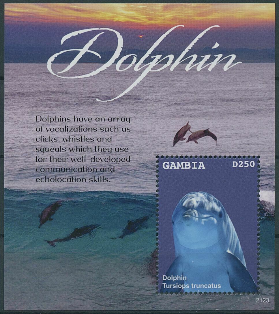 Gambia 2021 MNH Marine Animals Stamps Dolphins Common Bottlenose Dolphin 1v S/S