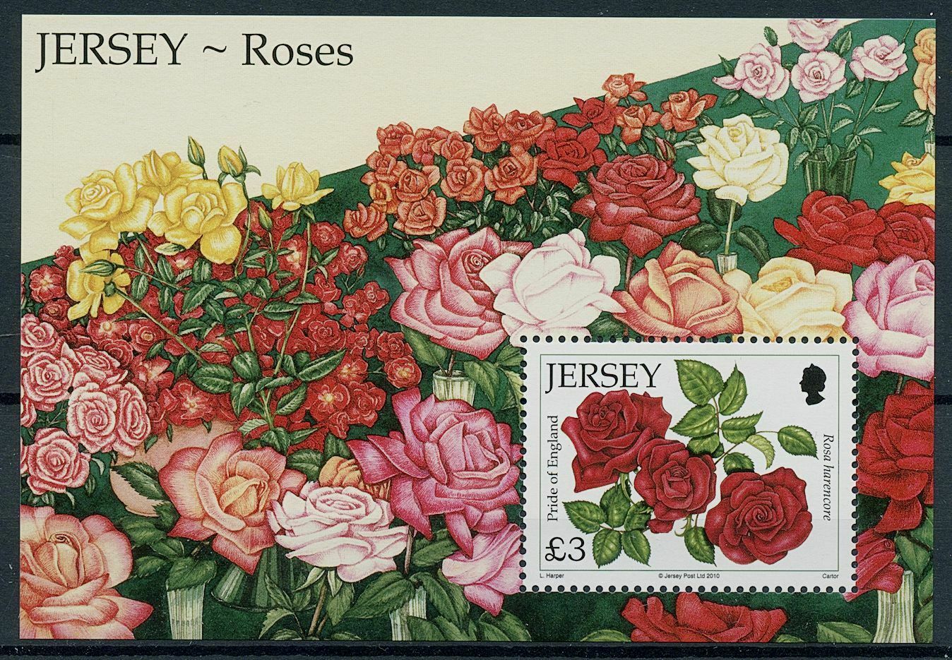Jersey 2010 MNH Flowers Stamps Roses Pride of England Rose Flora Nature 1v M/S