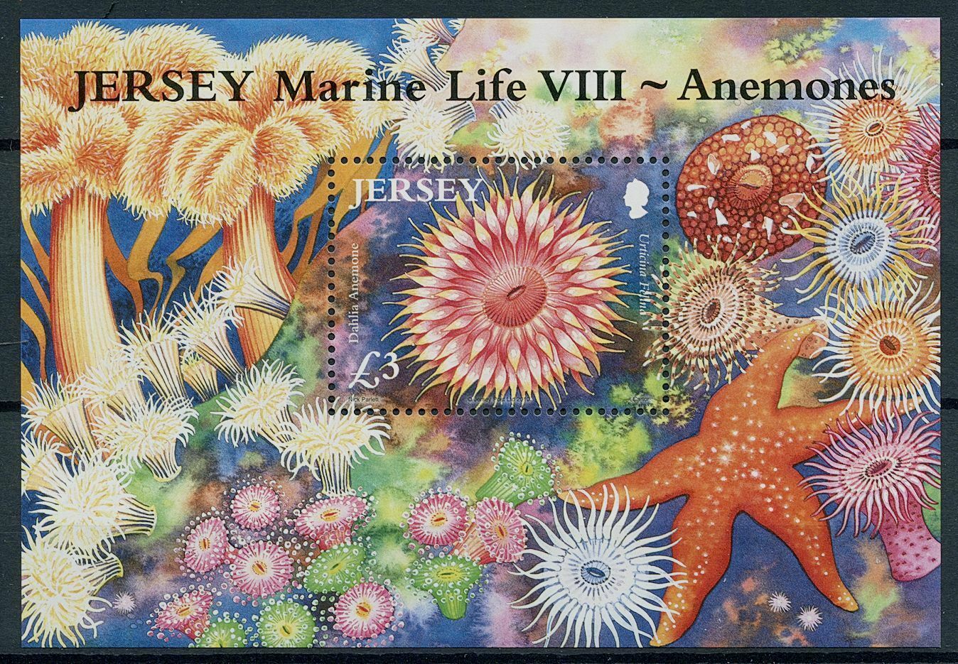Jersey 2010 MNH Marine Animals Stamps Marine Life VIII Sea Anemones 1v M/S