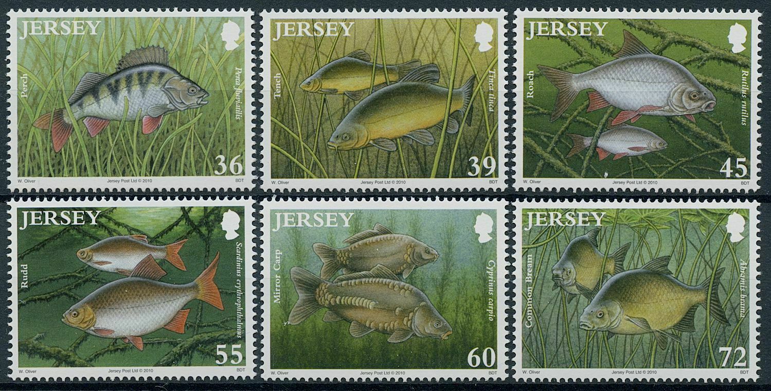 Jersey 2010 MNH Fishes Stamps Freshwater Fish Perch Tench Rudd Carp 6v Set
