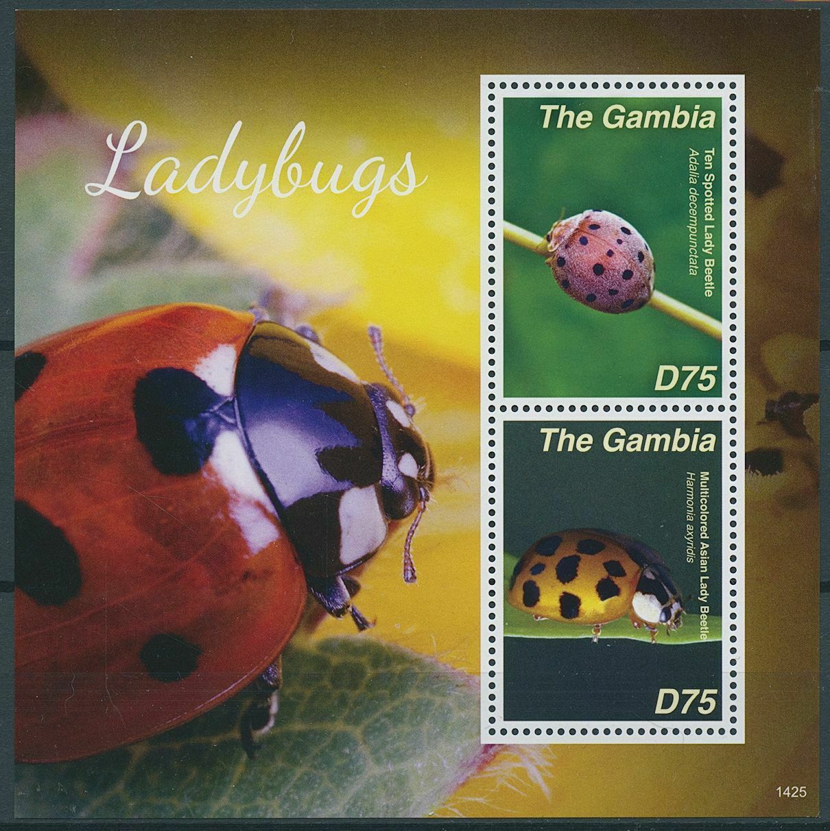 Gambia 2014 MNH Insects Stamps Ladybugs Beetles Ladybirds 2v S/S II