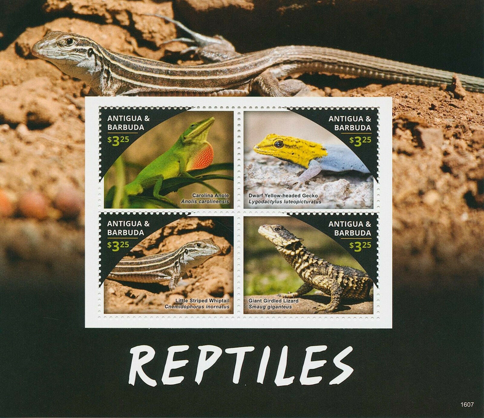 Antigua & Barbuda 2016 MNH Reptiles Stamps Lizards Geckos Anole Lizard 4v M/S I