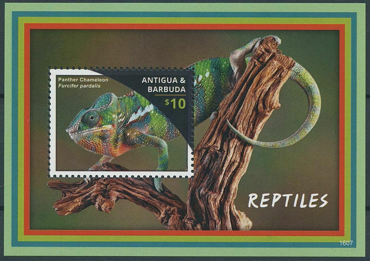 Antigua & Barbuda 2016 MNH Reptiles Stamps Lizards Panther Chameleons 1v S/S