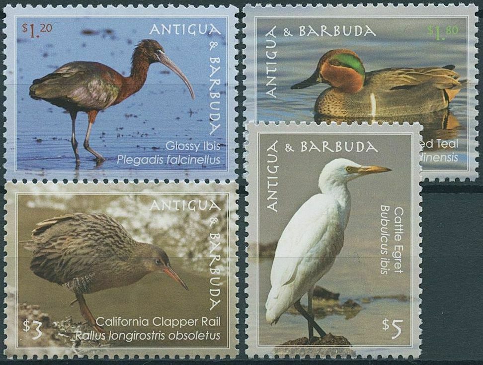 Antigua & Barbuda 2009 MNH Birds on Stamps Ducks Egrets Ibis Teal Rail 4v Set