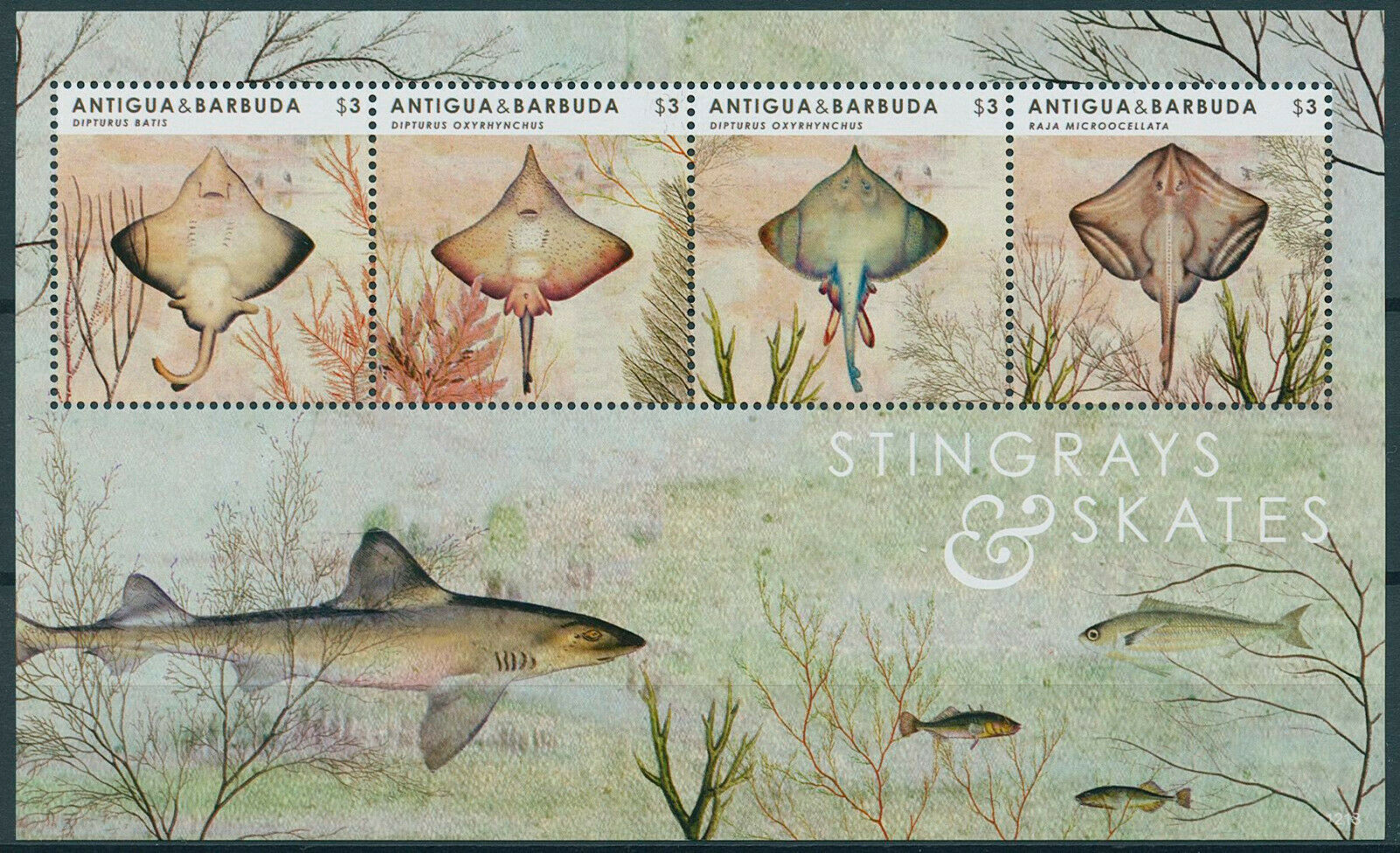 Antigua & Barbuda 2012 MNH Fish Stamps Stingrays & Skates Fishes 4v M/S