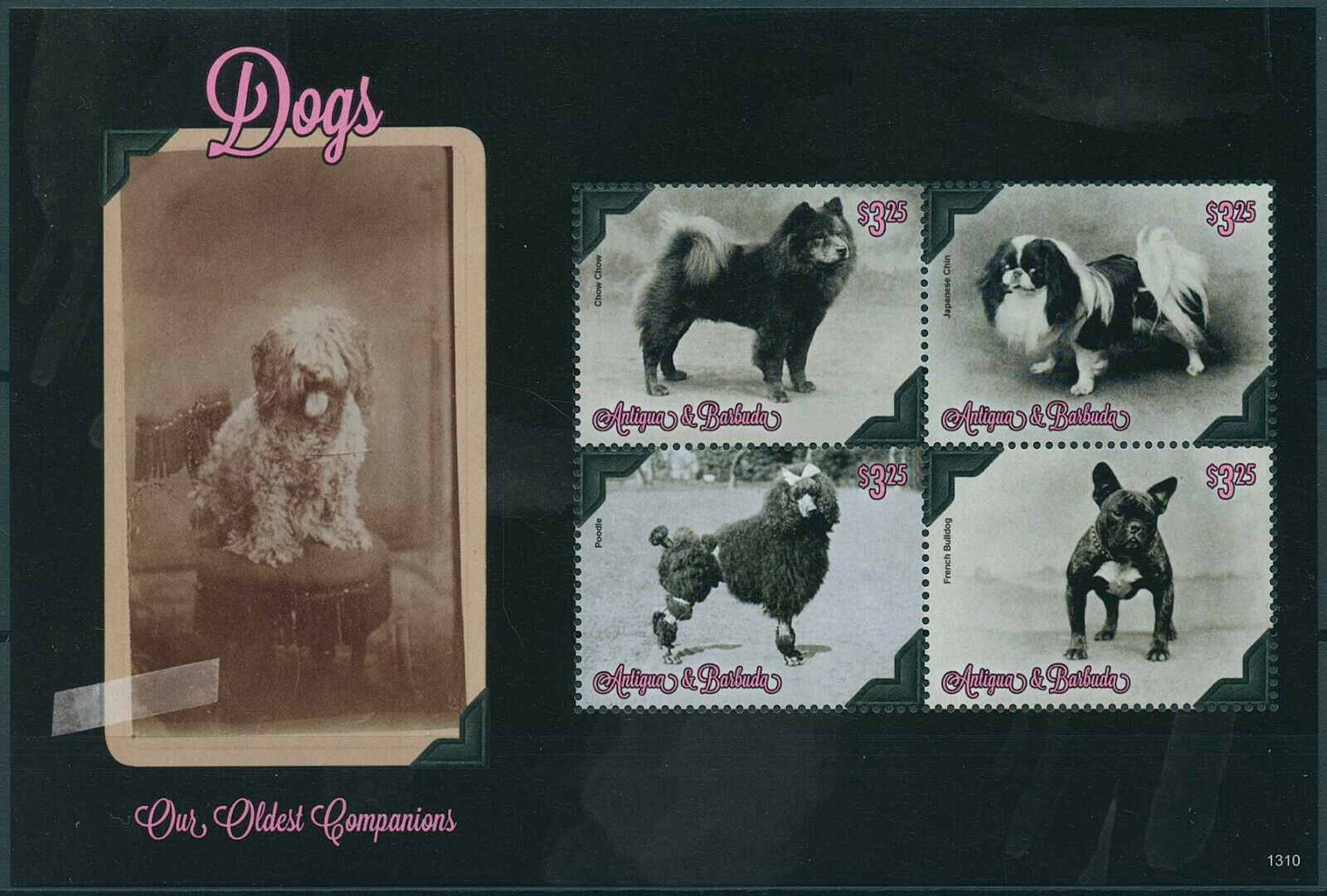 Antigua & Barbuda 2013 MNH Dogs Stamps Our Oldest Companions Poodle 4v M/S